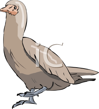 Farm Animal Clipart