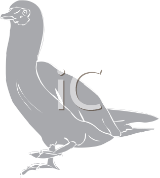 Bird Clipart