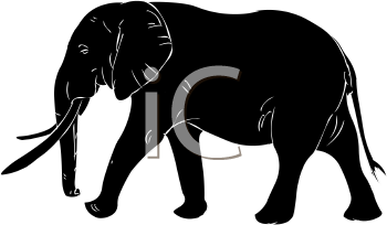 Mammal Clipart