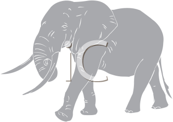 Mammal Clipart