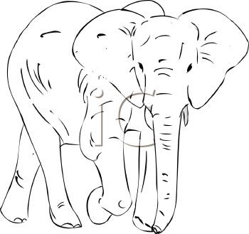 Mammal Clipart