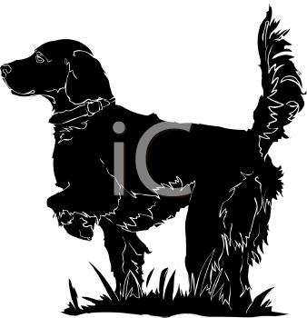Pet Clipart