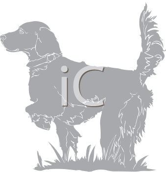 Pet Clipart