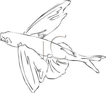 Fish and Sea Life Clipart
