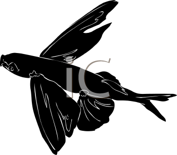Fish and Sea Life Clipart