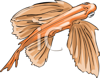 Fish and Sea Life Clipart
