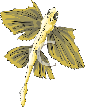 Fish and Sea Life Clipart