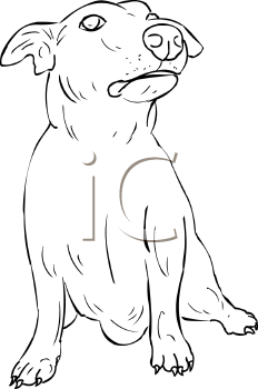Dog Clipart