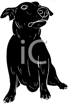 Pet Clipart