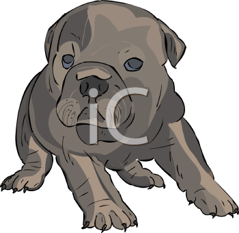 Pet Clipart