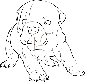 Dog Clipart