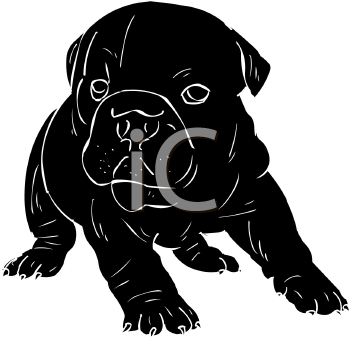 Pet Clipart