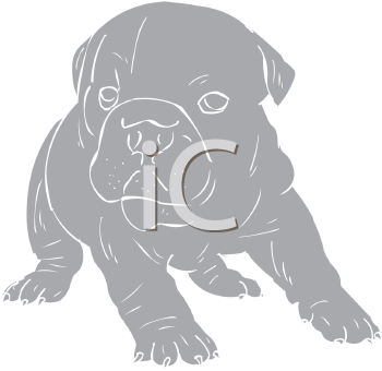 Pet Clipart