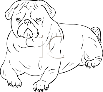 Dog Clipart