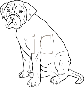 Pet Clipart