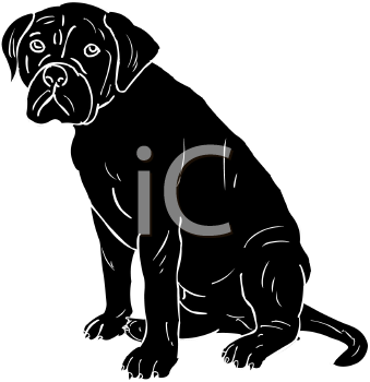 Pet Clipart