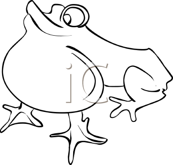 Amphibians Clipart
