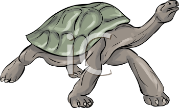 Reptile Clipart