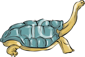Reptile Clipart