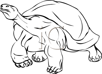Reptile Clipart