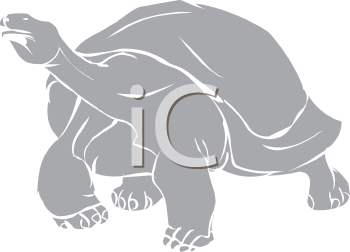 Reptile Clipart