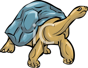 Reptile Clipart