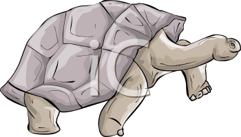 Reptile Clipart