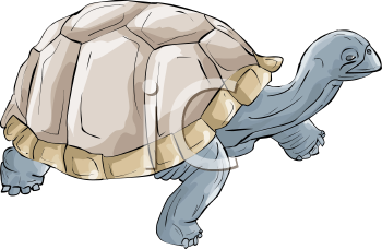 Reptile Clipart