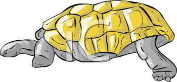 Reptile Clipart