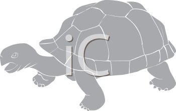 Reptile Clipart
