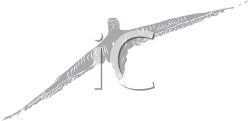 Bird Clipart