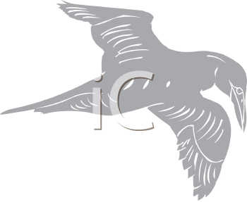 Bird Clipart