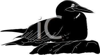 Bird Clipart
