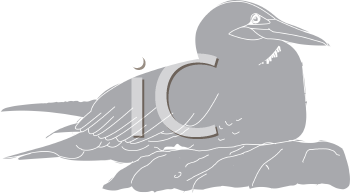 Bird Clipart