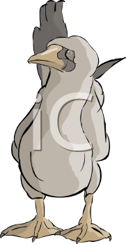 Bird Clipart