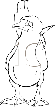 Bird Clipart