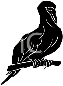 Bird Clipart