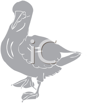 Bird Clipart