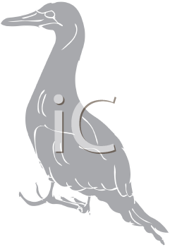 Bird Clipart
