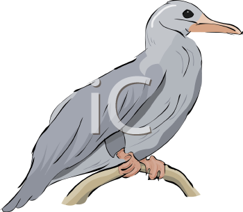 Bird Clipart
