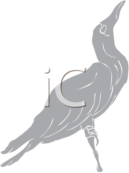 Bird Clipart