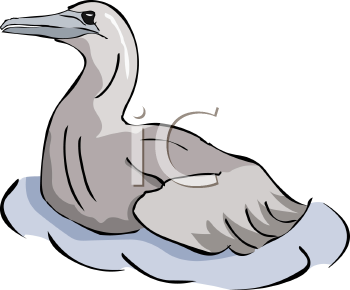 Bird Clipart