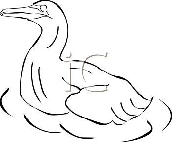 Bird Clipart