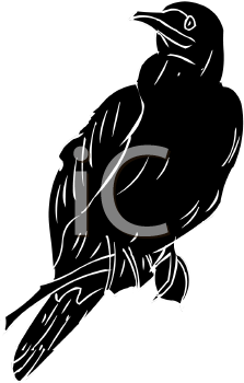 Bird Clipart