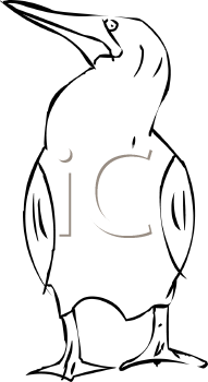 Bird Clipart