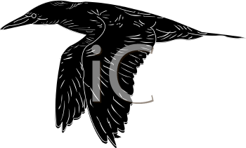 Bird Clipart