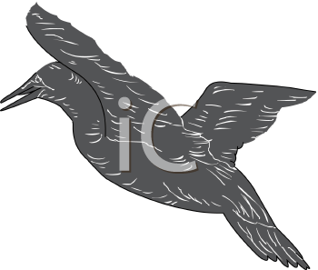Bird Clipart