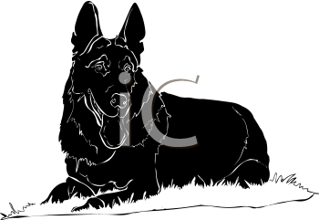 Pet Clipart