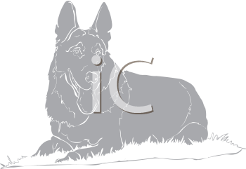 Pet Clipart