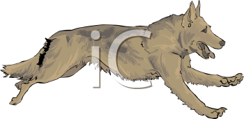 Pet Clipart